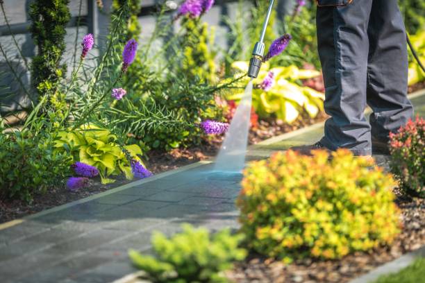 Best Pool Deck Cleaning  in Uniontown, OH